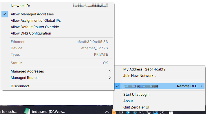 Zerotier 网络信息